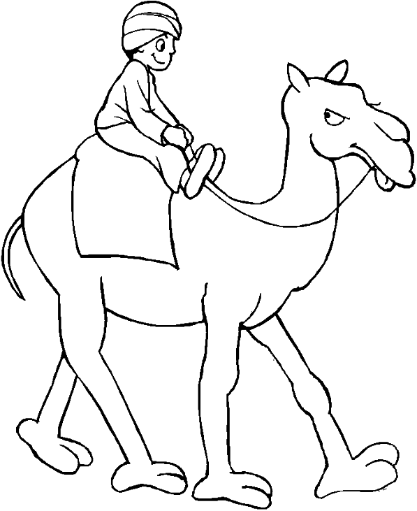a child sitting on the bump of the dromedary 